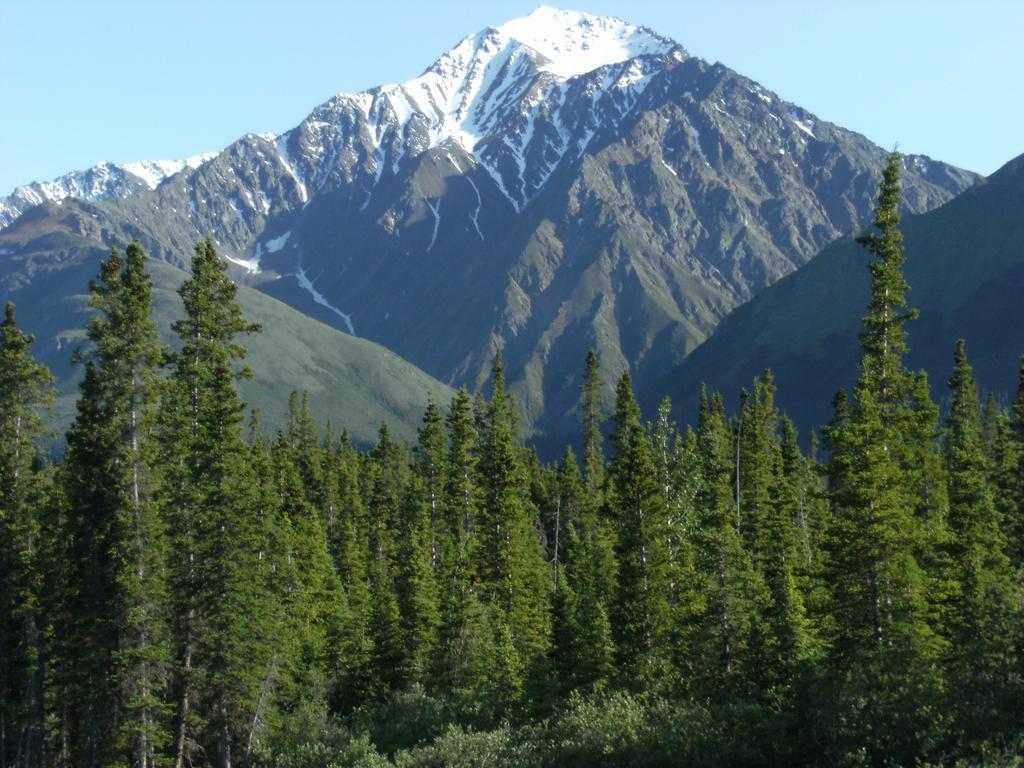 Parkside Inn Haines Junction Εξωτερικό φωτογραφία